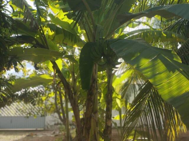 Apartamento para Venda em Aracati - 4