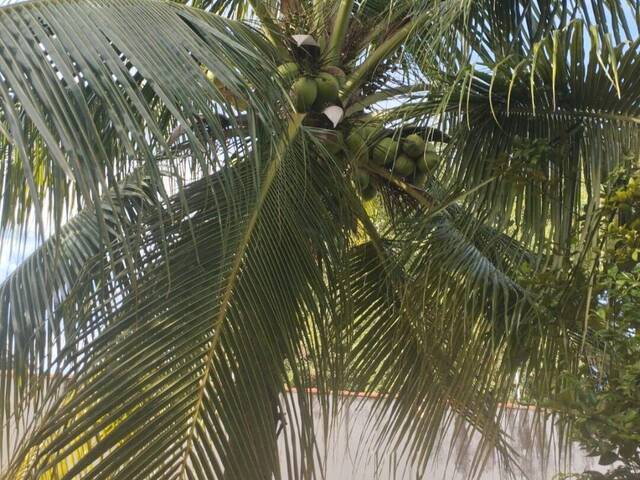 Apartamento para Venda em Aracati - 5